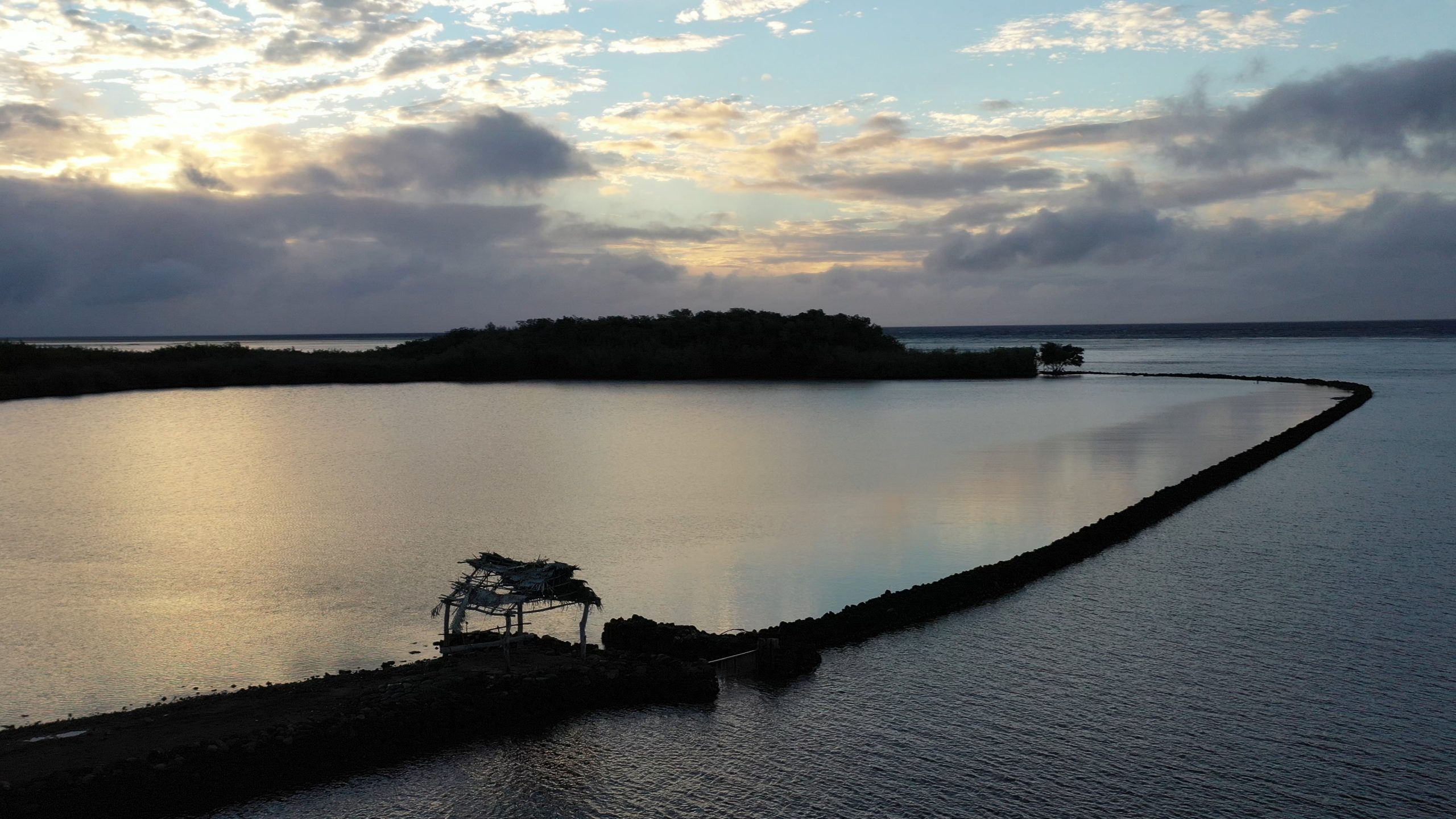DJI_0220.MOV.00_01_34_28.Still002