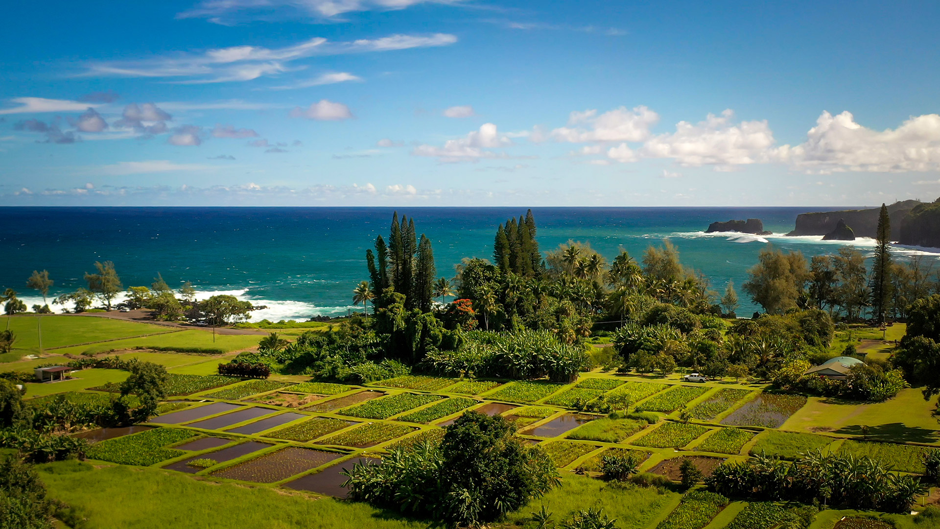 Na-Moku-Aupuni-O-Koolau-Hui
