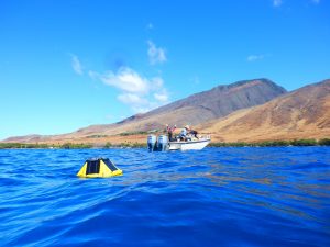 MNMRC's Aqualink Buoy at Olowalu in West Maui