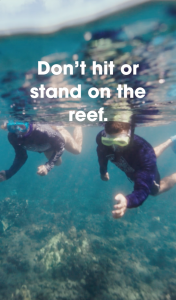 Don't hit or stand on the reef.