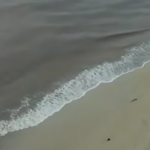 shoreline beach