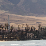 Lahaina after the August 2023 Wildfires