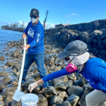 Water quality testing after the Lahaina Wildfires