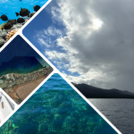 Flying Fish Technologies Present on the preliminary results of a week of coral reef surveys along the leeward coast of Maui, Hawaii and Lahaina