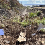 Trash Debris Monitoring Reveals Insights into Marine Debris Origins and the Local Community's Impact on Maui's Beaches.