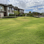 Local property with healthy grass growth