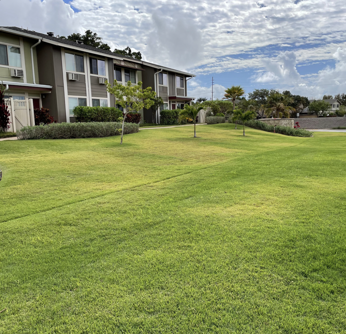 Local property with healthy grass growth