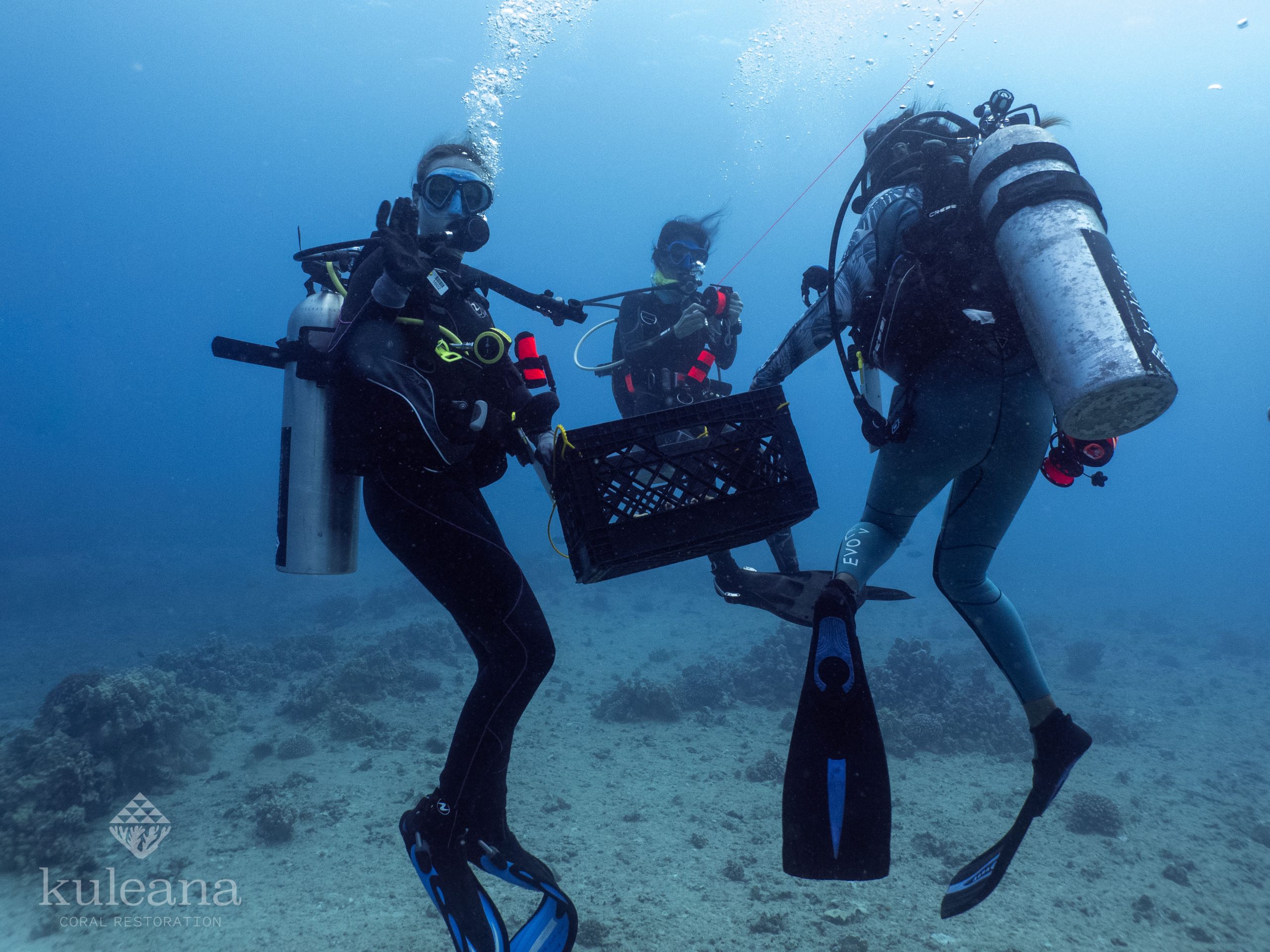Staff members of Maui Nui Marine Resource Council in dive gear learn to collect corals of opportunity.
