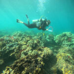 A diver takes notes on a clipboard while swimming over a reef survey site.