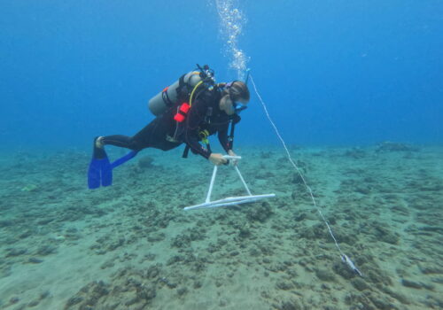 A diver holds a reef survey instrument while swimming over a patch of reef and sand.