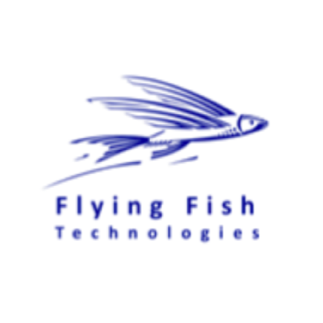FFT Webpage_Flying Fish Technologies-logo