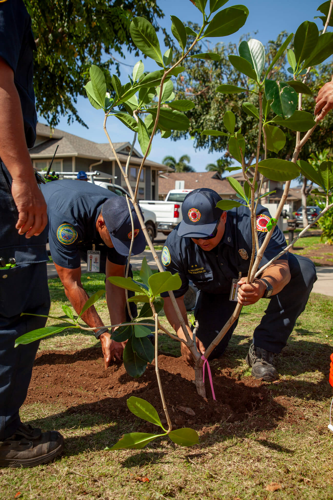 04_Kahoma Village Planting Day_Courtesy Derek Sander