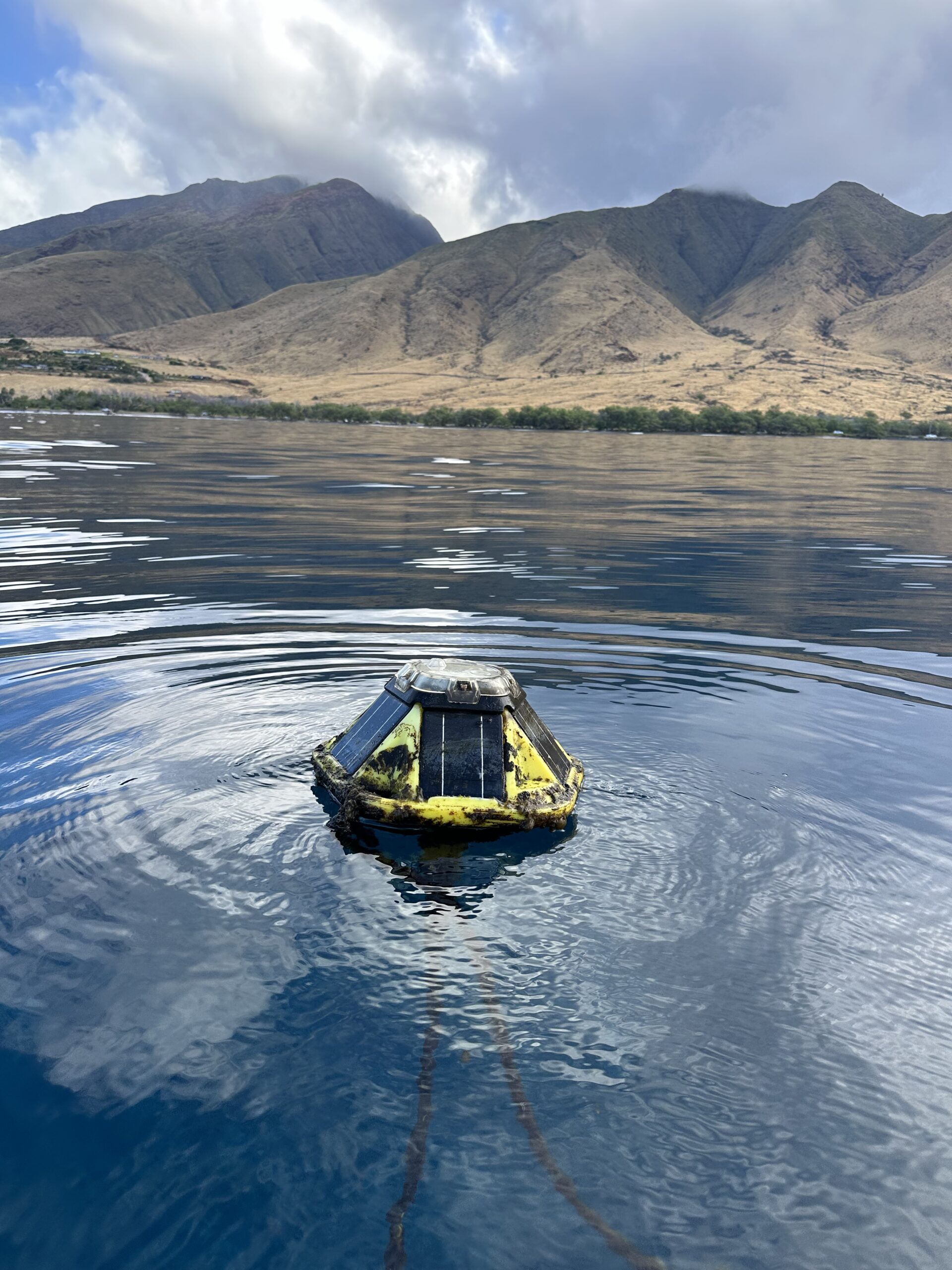 Aqualink mooring off of Olowalu