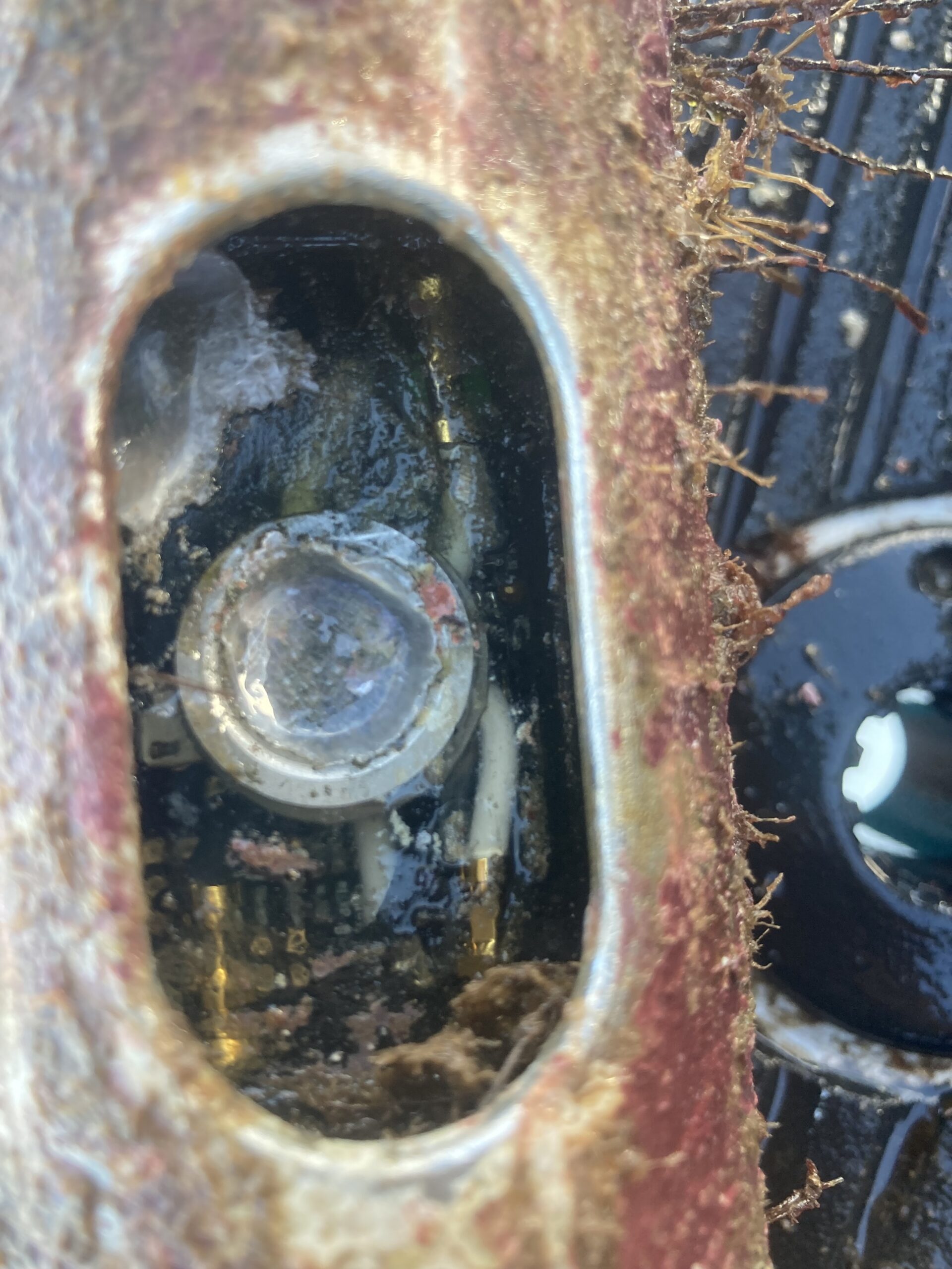 Closeup of Aqualink Smart Mooring temperature sensor