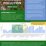 North Maui Limu Brief 2025