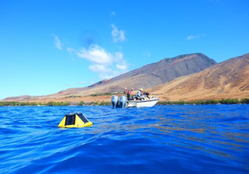 Successful Olowalu Aqualink Deployment