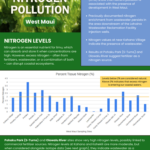 West Maui Limu Brief 2025
