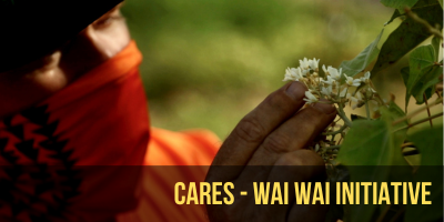 A CARES-funded employee of Kipuka Olowalu observes a plant.