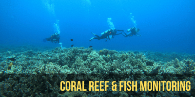 CRAMP and FAHU Surveys Assessing and tracking coral and fish health allow us to share ecosystem conditions with our community and resource managers. It also lets us understand if on land management actions are making a difference to our coral reefs.