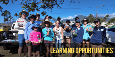 We are learning how to steward Maui's coral reef resources alongside our community partners.