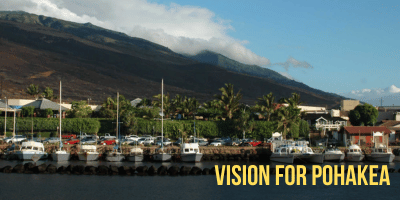 MNMRC has been working with community and government to reduce sediment erosion from adjacent mountain slopes. Read more...