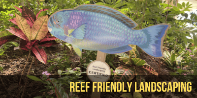 Reef Friendly Landscaping program certifies properties that follow organic landscaping principles and provides training for landscapers in organic management practices. Certified properties are awarded a parrotfish sign.