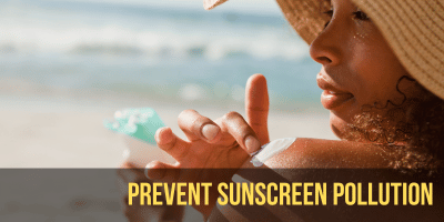 Preventing Sunscreen Pollution Sunscreens with oxybenzone and octinoxate can harm or kill corals. Our team works with snorkel cruise operators to provide safer alternatives. We educate the public and lawmakers about sunscreen pollution.