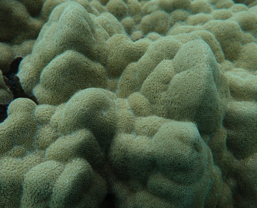 DSC01544