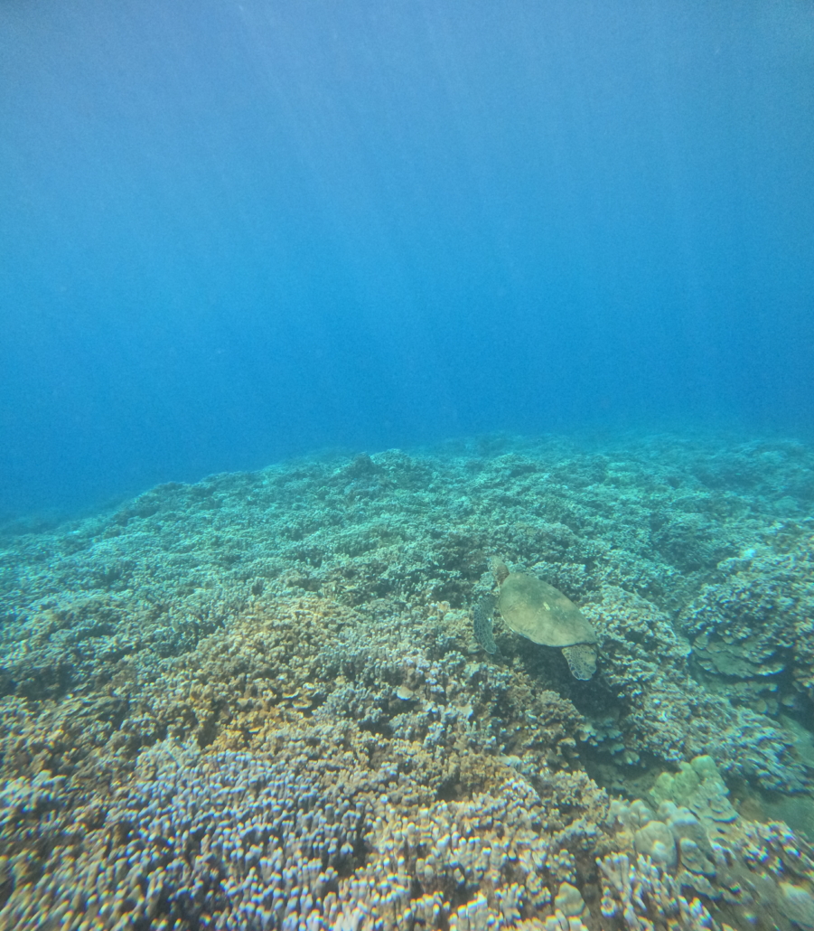 DCIM100GOPROGOPR4631.JPG