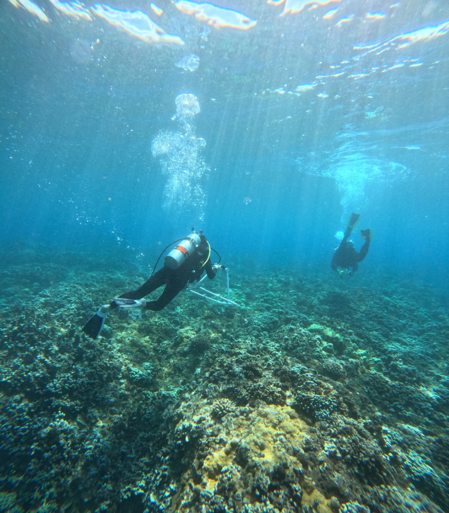 DCIM100GOPROGOPR4721.JPG